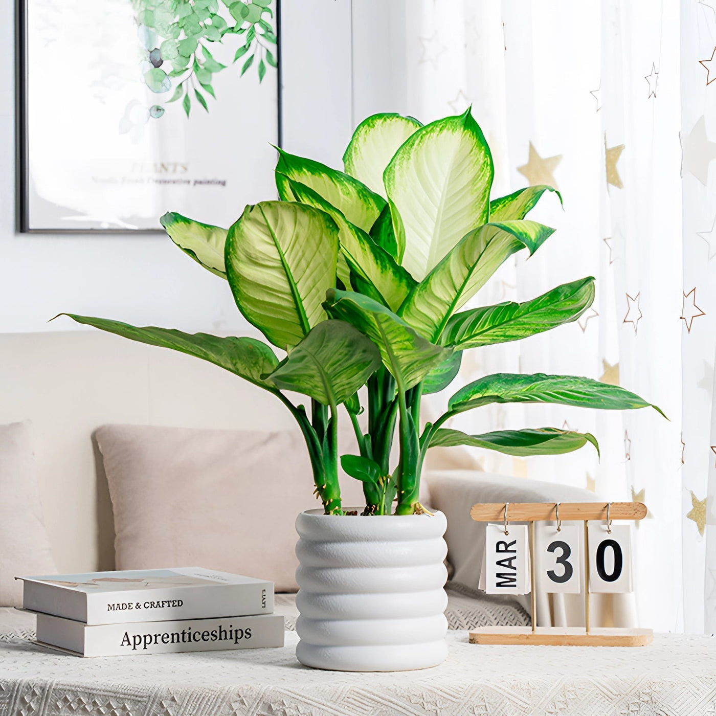 Indoor Decorative Air Purifying Plant | PureGreen